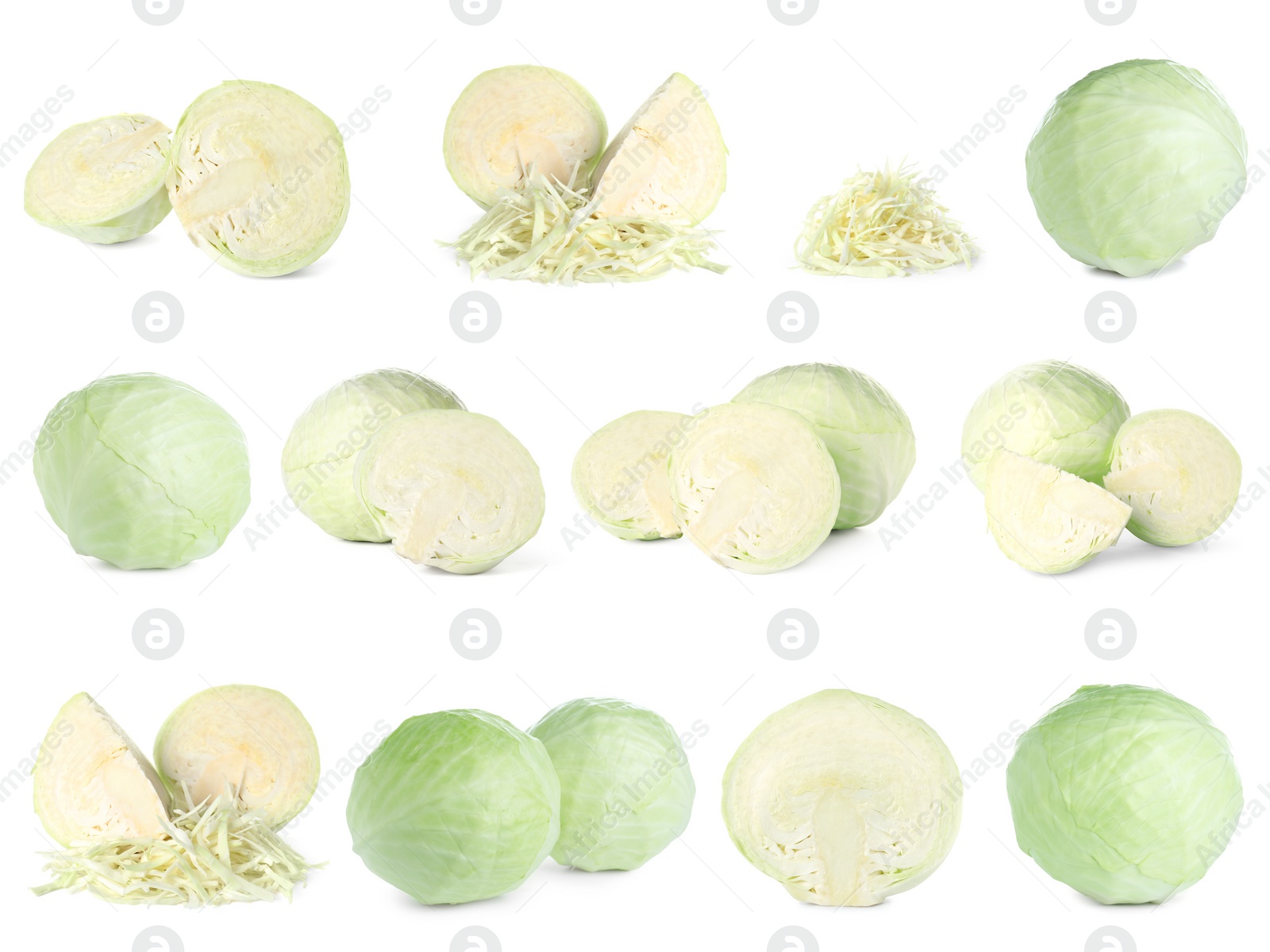 Image of Set of fresh ripe cabbages on white background