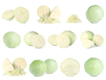 Set of fresh ripe cabbages on white background