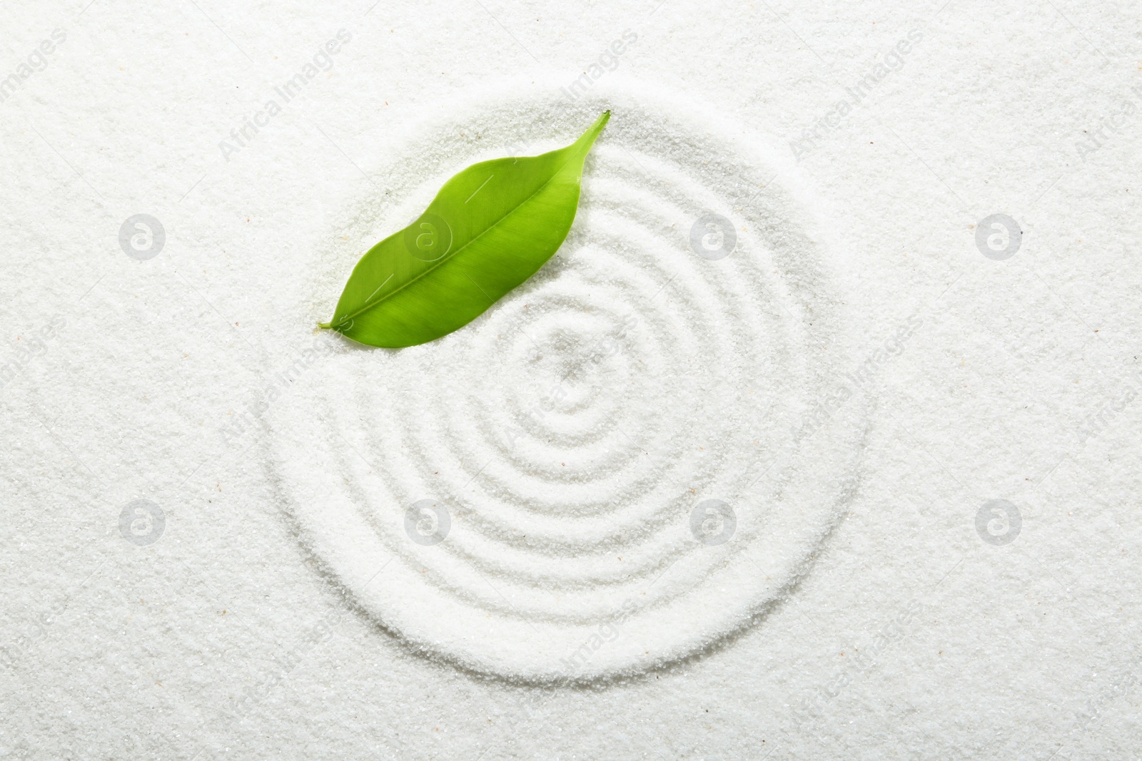 Photo of Zen rock garden. Circle pattern and green leaf on white sand, top view