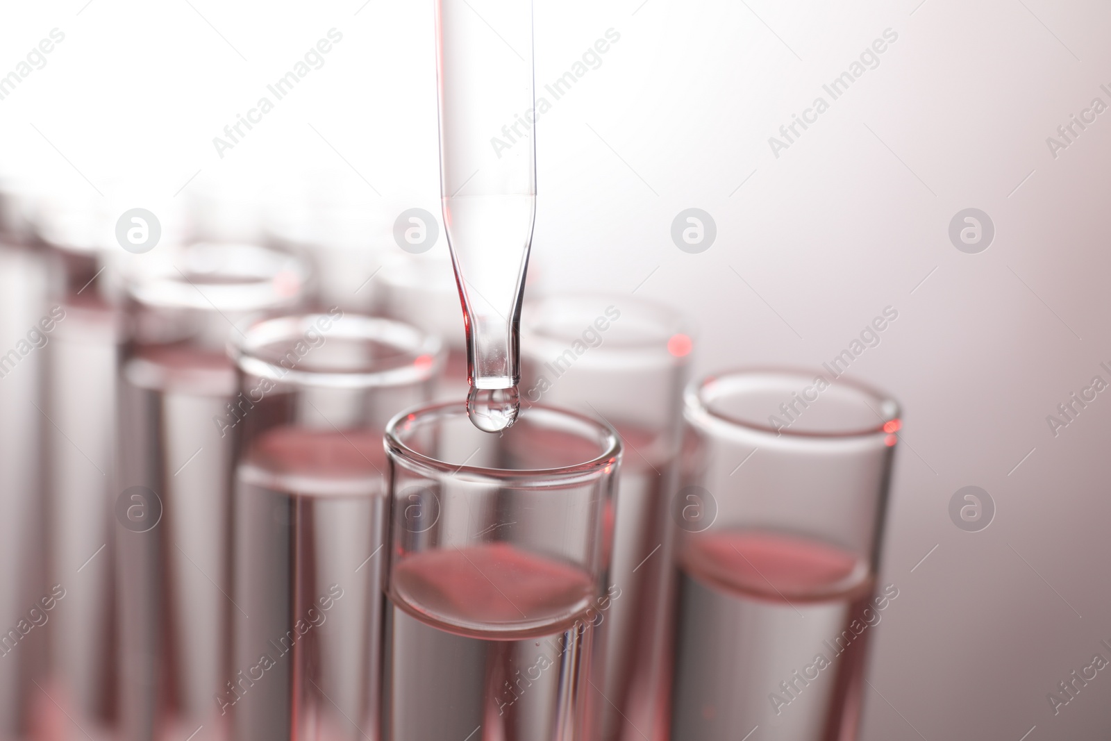 Photo of Dripping liquid from pipette into test tube on light background, closeup