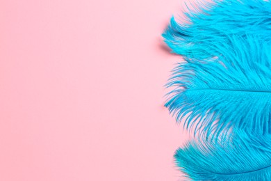 Photo of Beautiful light blue feathers on pink background, top view. Space for text