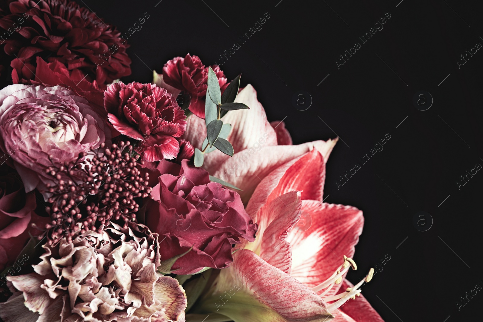 Photo of Beautiful bouquet of different flowers on black background. Floral card design with dark vintage effect