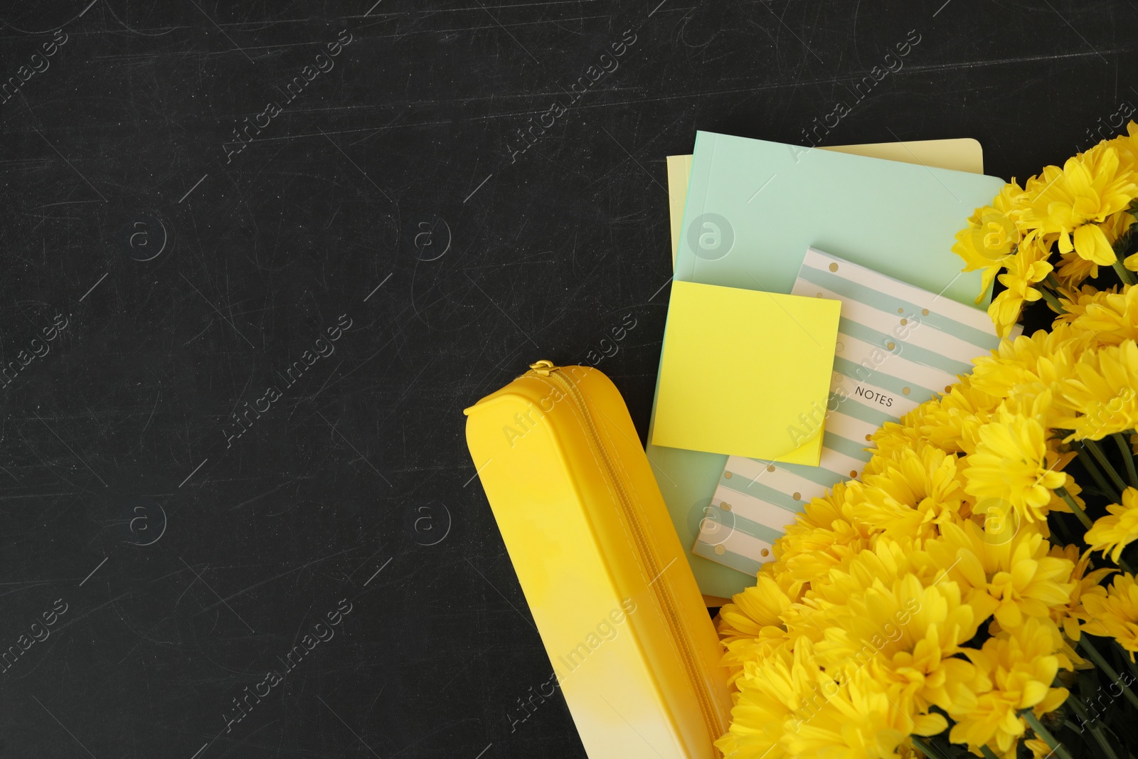 Photo of Different school stationery and beautiful yellow flowers on blackboard, flat lay with space for text. Happy Teacher's Day