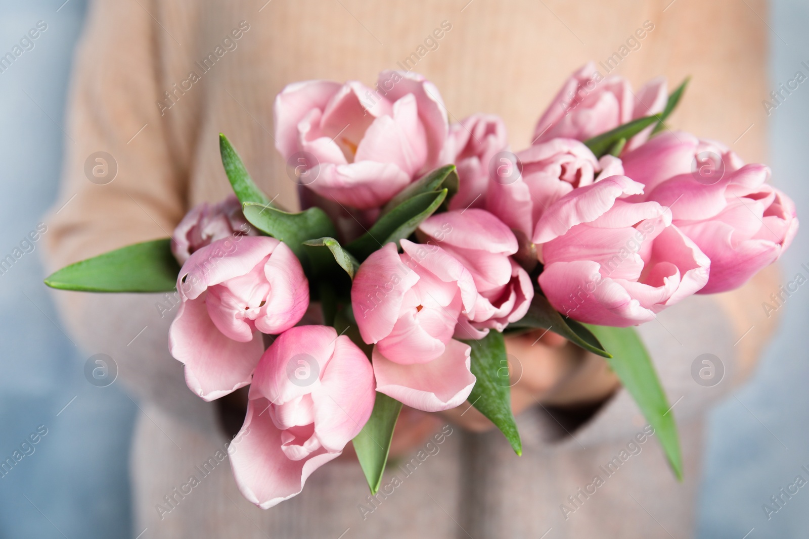 Photo of Woman with beautiful pink spring tulips on light blue background, closeup