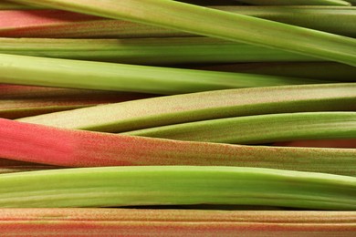 Many ripe rhubarb stalks as background, closeup