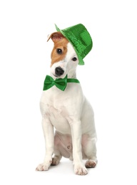 Image of Cute Jack Russel Terrier with leprechaun hat and bow tie on white background. St. Patrick's Day