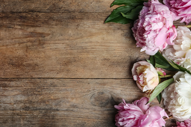 Photo of Beautiful peonies on wooden table, flat lay. Space for text