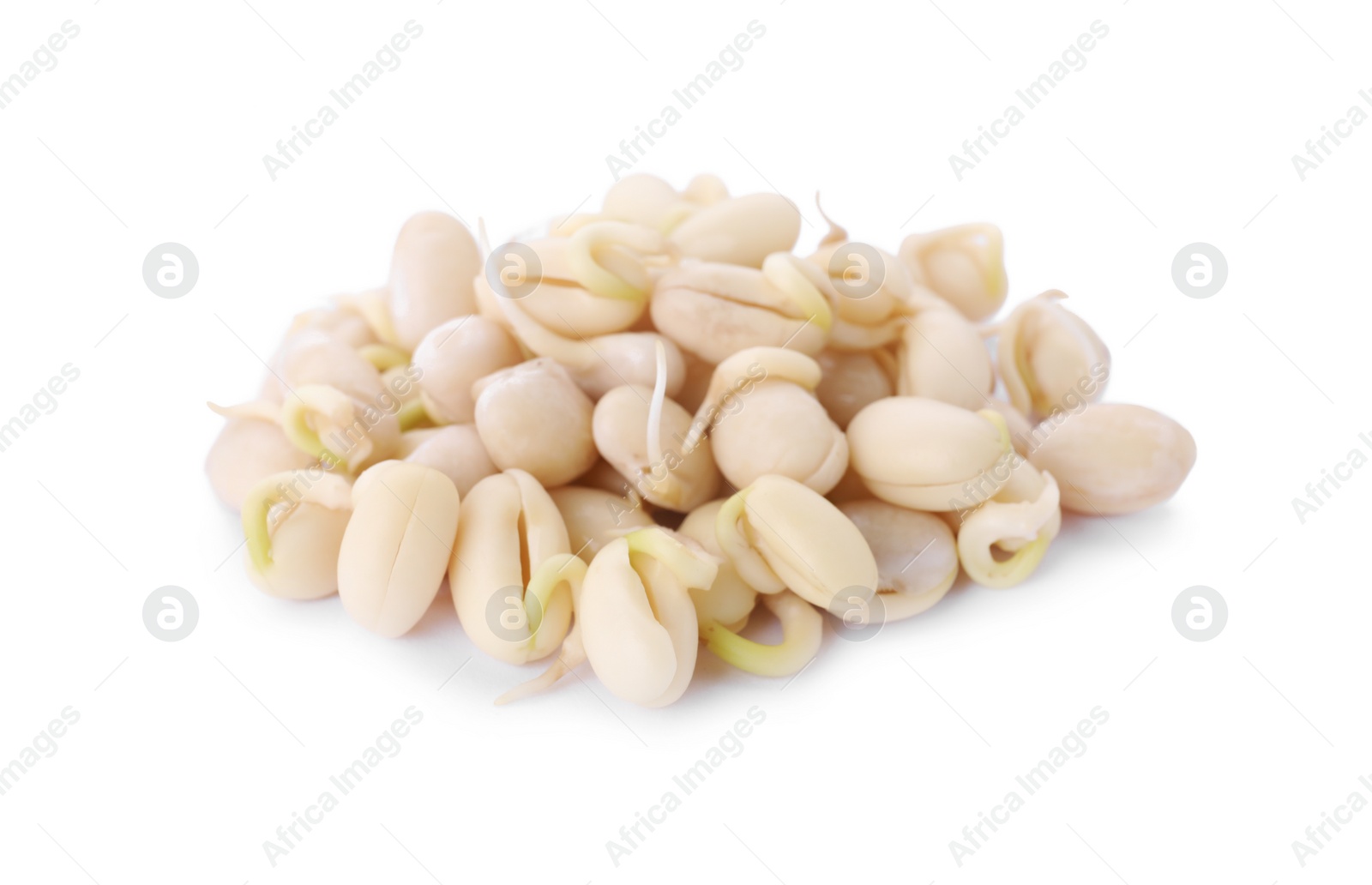 Photo of Pile of sprouted kidney beans isolated on white