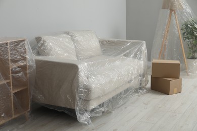 Photo of Modern furniture, houseplant covered with plastic film and boxes near light grey wall indoors