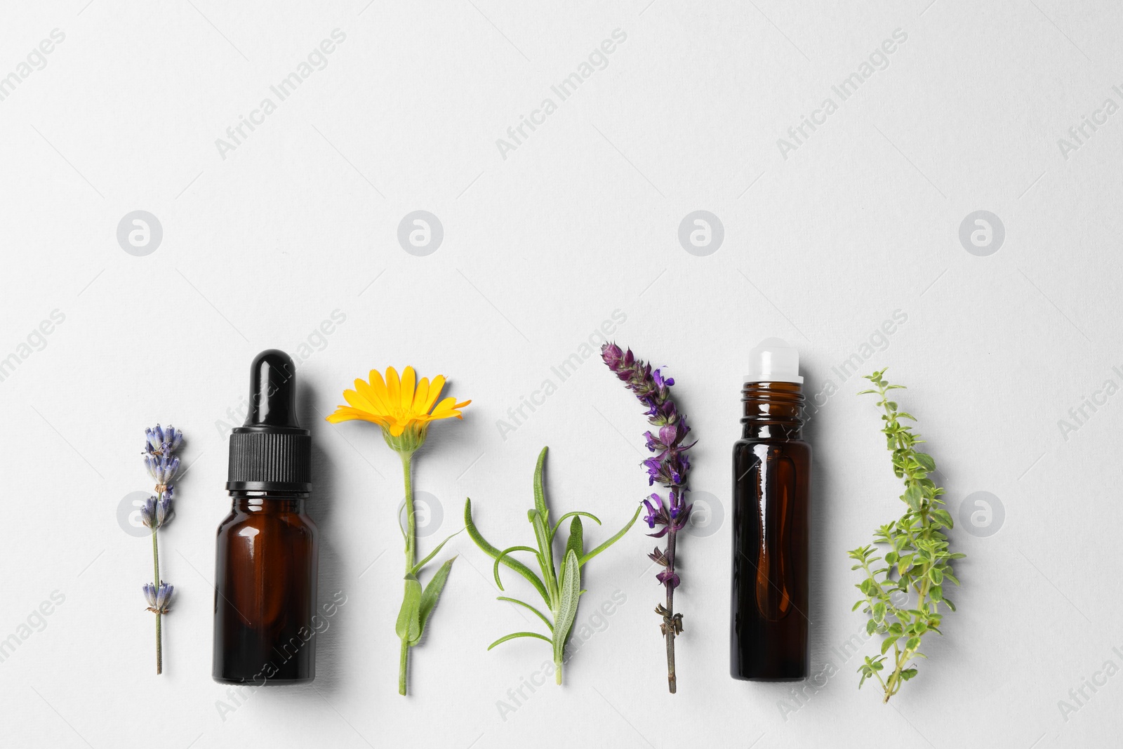 Photo of Bottles of essential oils, different herbs and flowers on white background, flat lay. Space for text