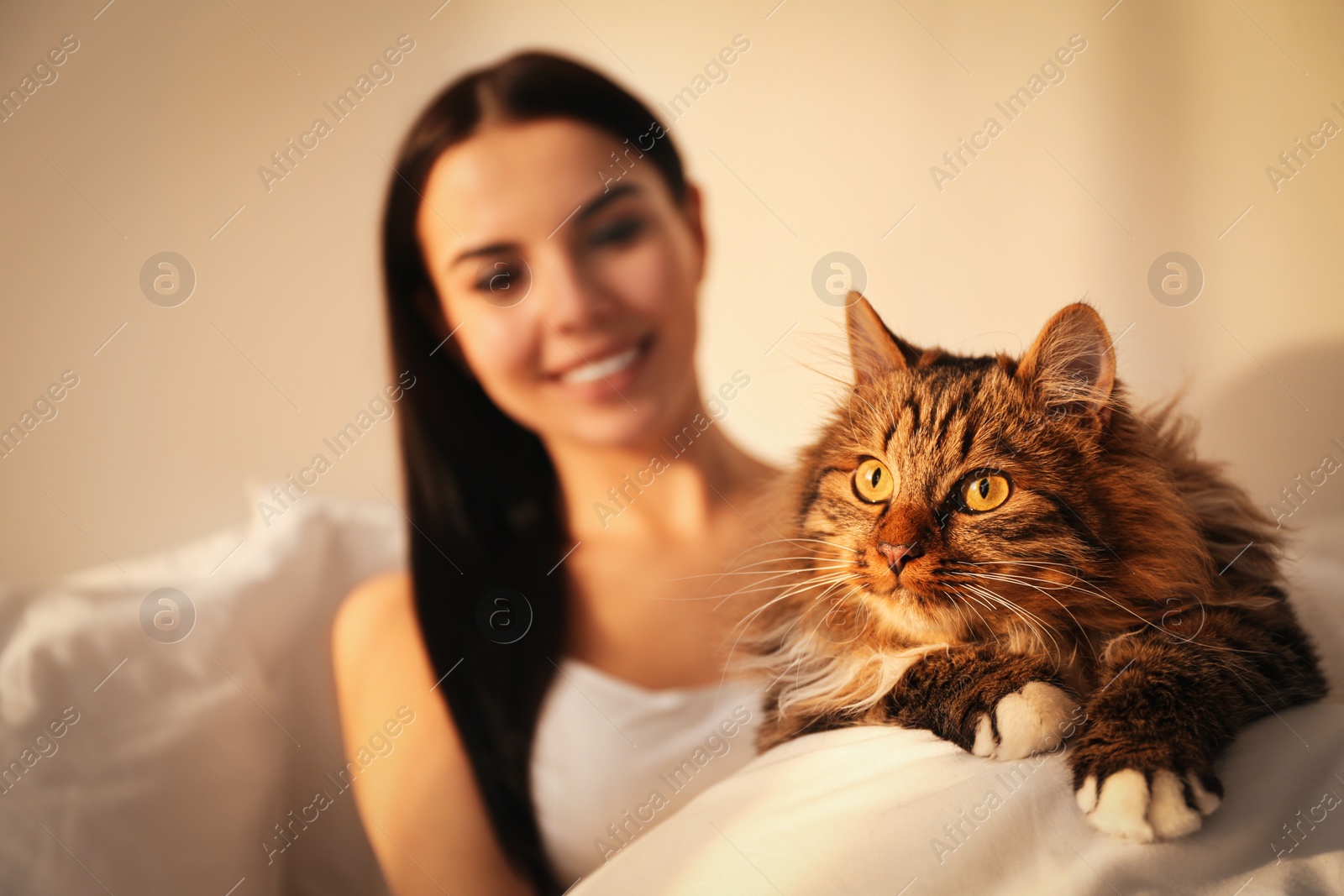 Photo of Beautiful young woman with her cute cat on bed, focus on pet