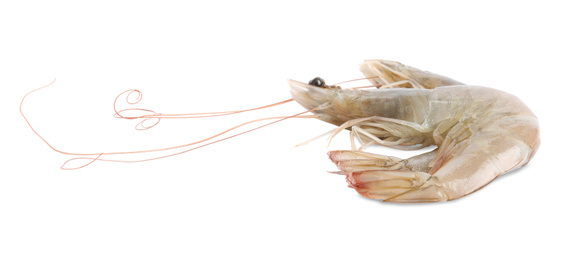 Fresh raw shrimps isolated on white. Healthy seafood