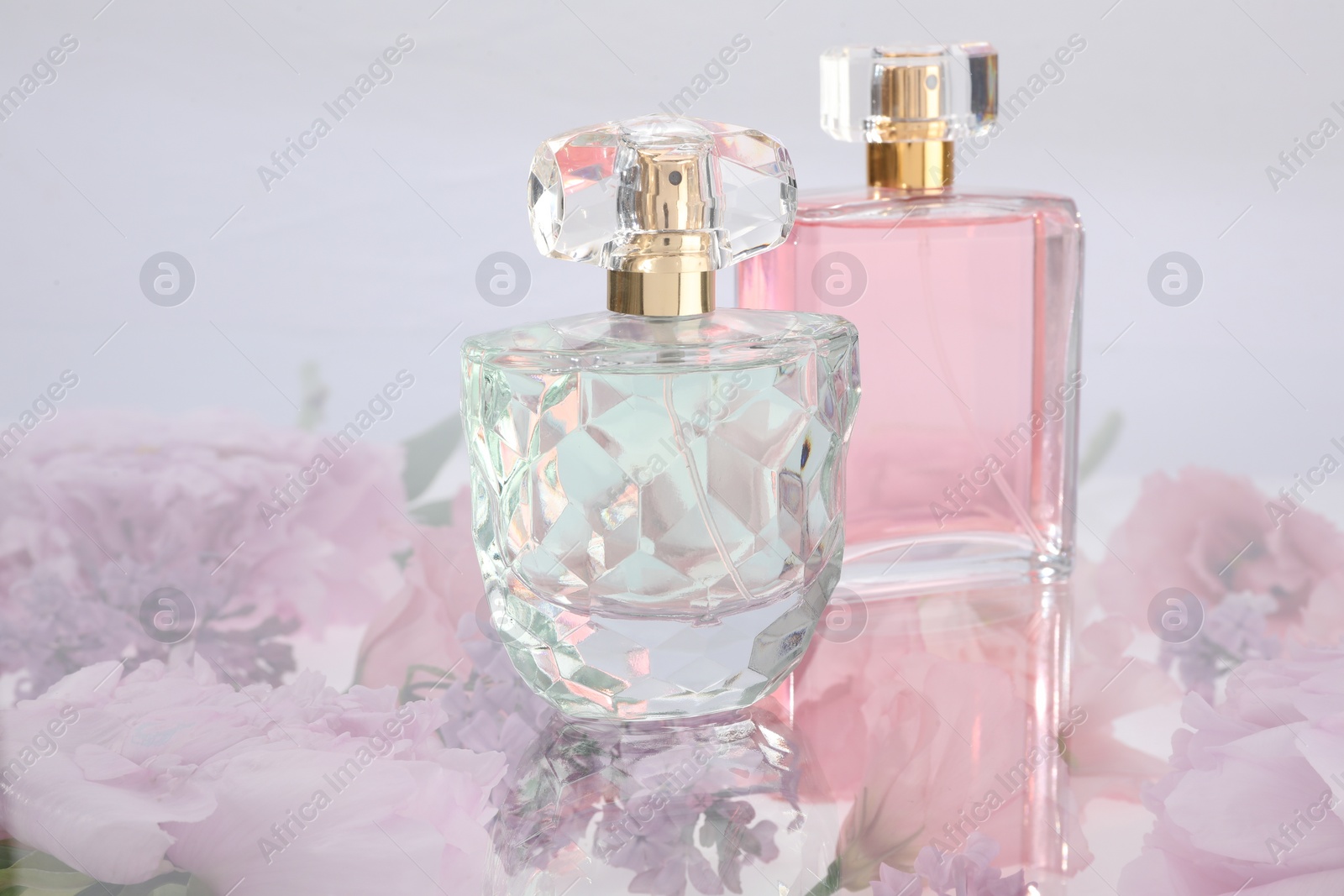 Photo of Luxury perfumes on spring floral decor, space for text