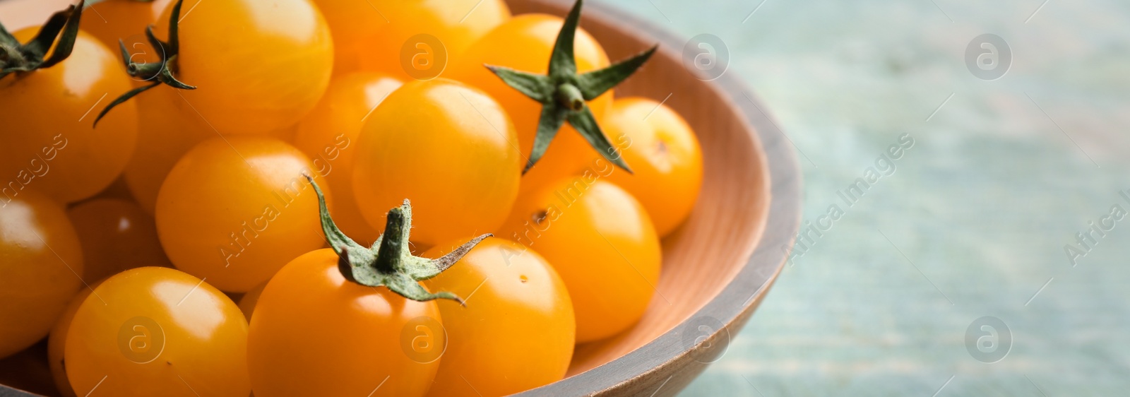 Photo of Ripe yellow tomatoes on light blue wooden table, closeup. Space for text