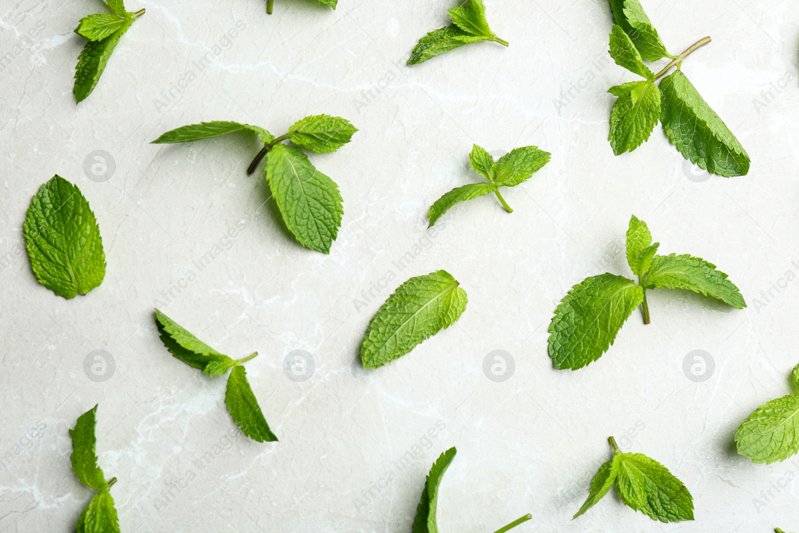 Photo of Fresh mint leaves on grey marble background, flat lay