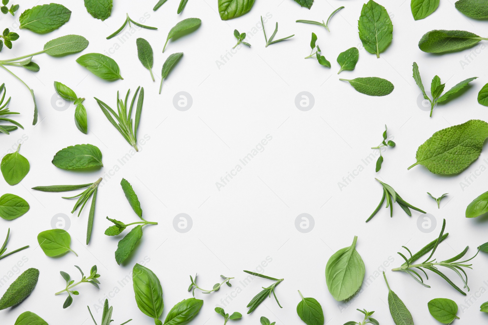 Photo of Frame made with different aromatic herbs on white background, flat lay. Space for text