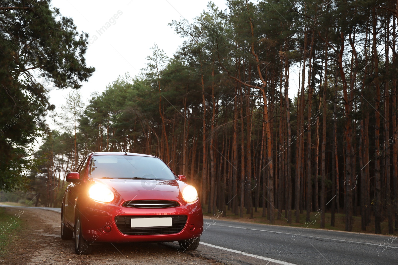 Photo of Red car parked near forest. Road trip