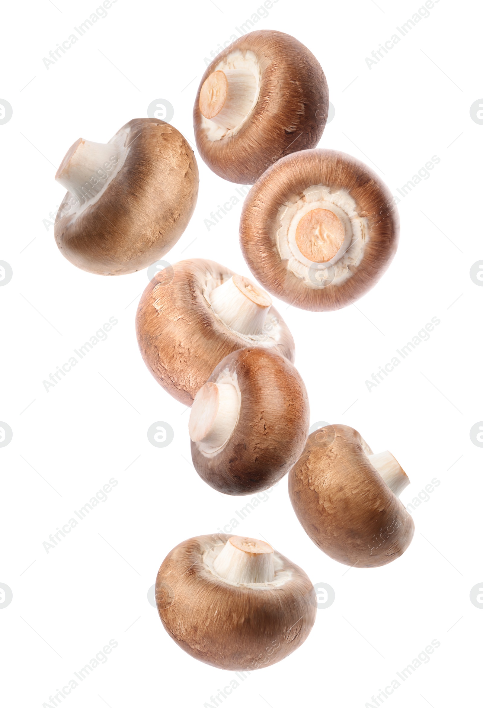 Image of  Set with fresh champignon mushrooms falling on white background