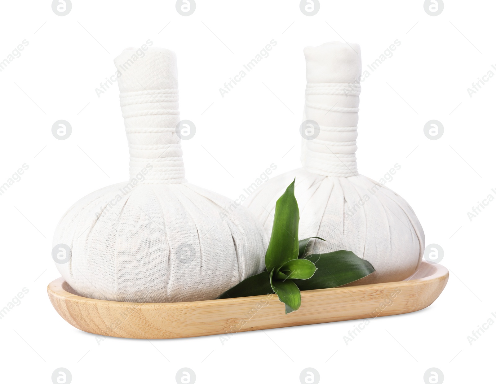 Photo of Herbal massage bags and green plant on white background. Spa supply