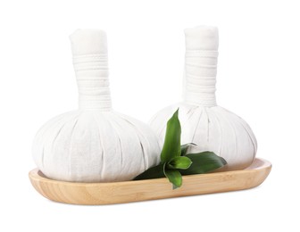 Herbal massage bags and green plant on white background. Spa supply