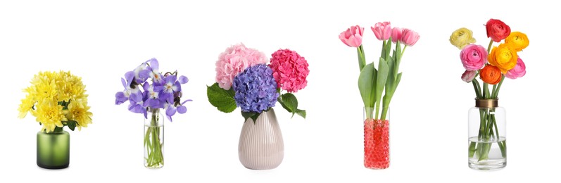 Image of Collage with various beautiful flowers in vases on white background. Banner design