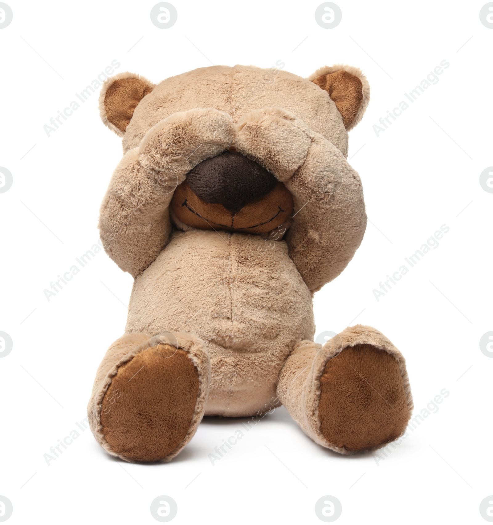 Photo of Cute teddy bear isolated on white. Child`s toy