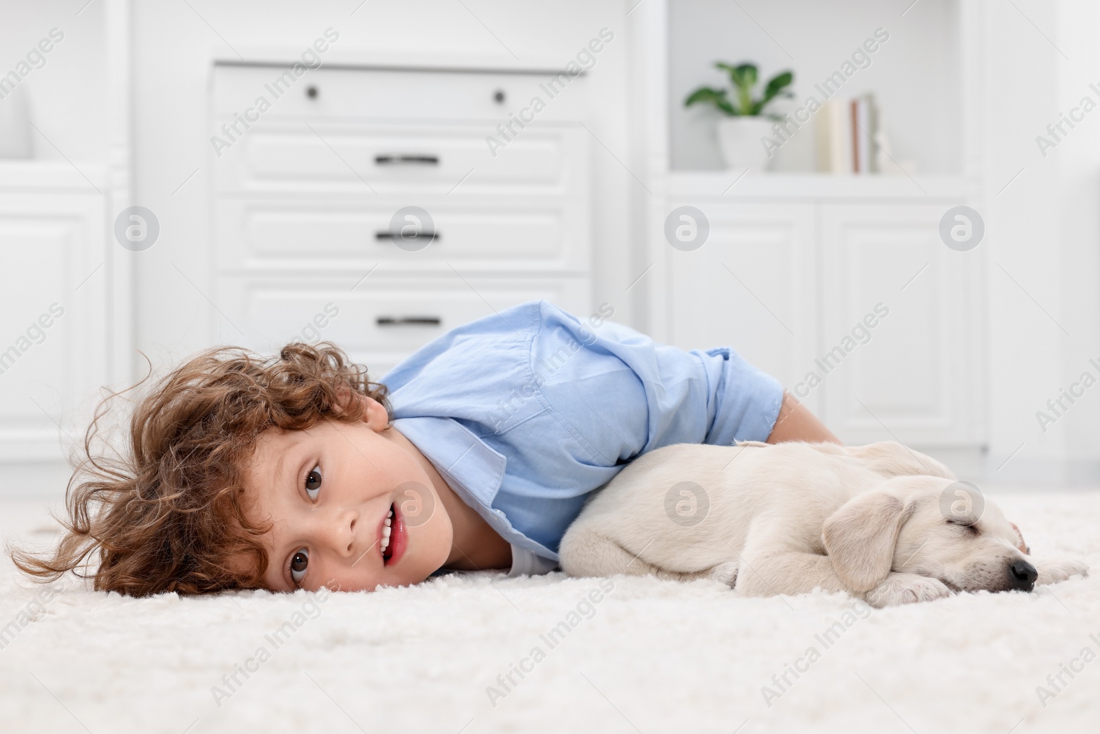 Photo of Little boy lying with cute puppies on white carpet at home