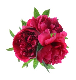 Beautiful peony flower bouquet on white background