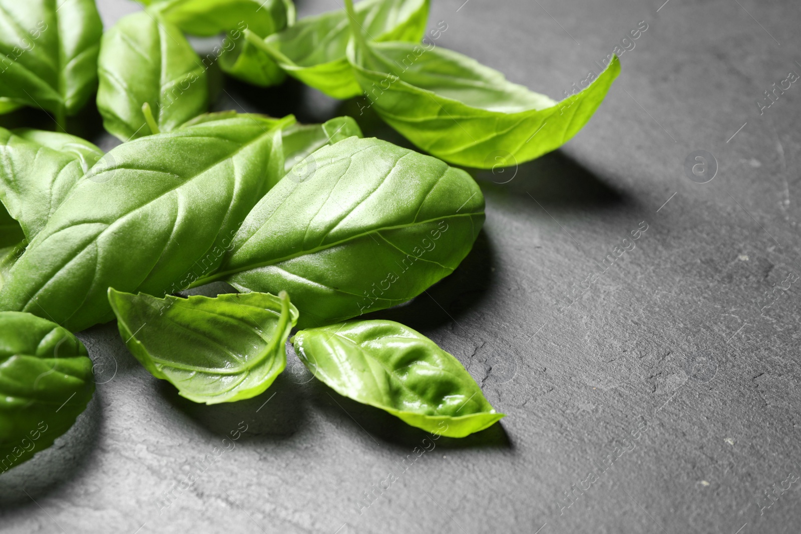 Photo of Fresh basil leaves on grey table, closeup