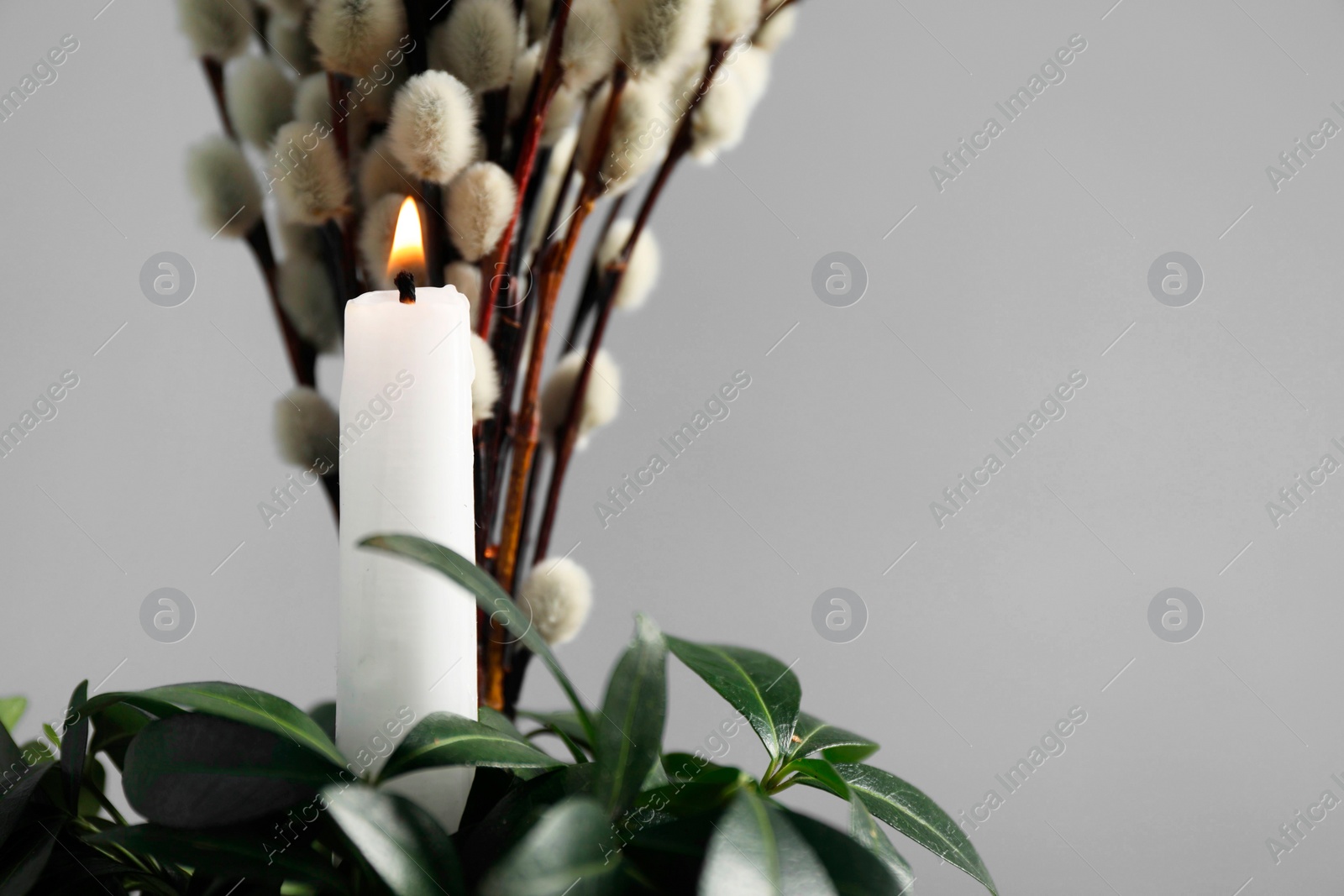 Photo of Burning candle, green leaves and willow branches against grey background, space for text