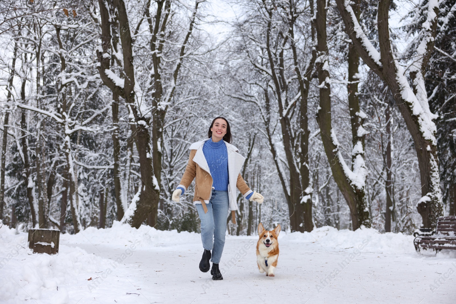 Photo of Woman with adorable Pembroke Welsh Corgi dog running in snowy park