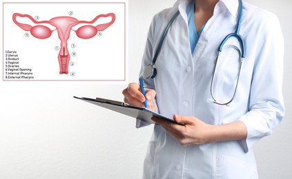 Image of Doctor with clipboard and illustration of female reproductive system on white background, closeup. Gynecological care 