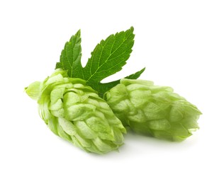 Photo of Fresh green hops with leaf on white background