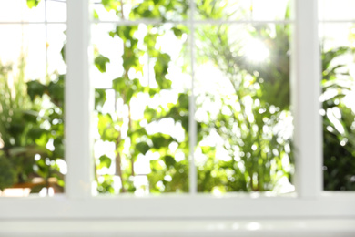 Blurred view through window on garden in morning