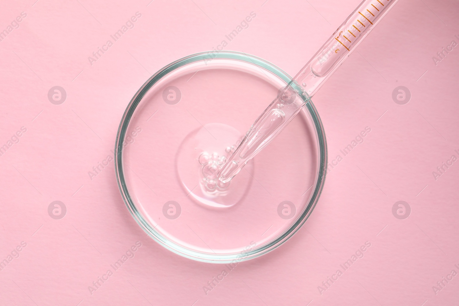 Photo of Glass pipette and petri dish with liquid on pink background, top view