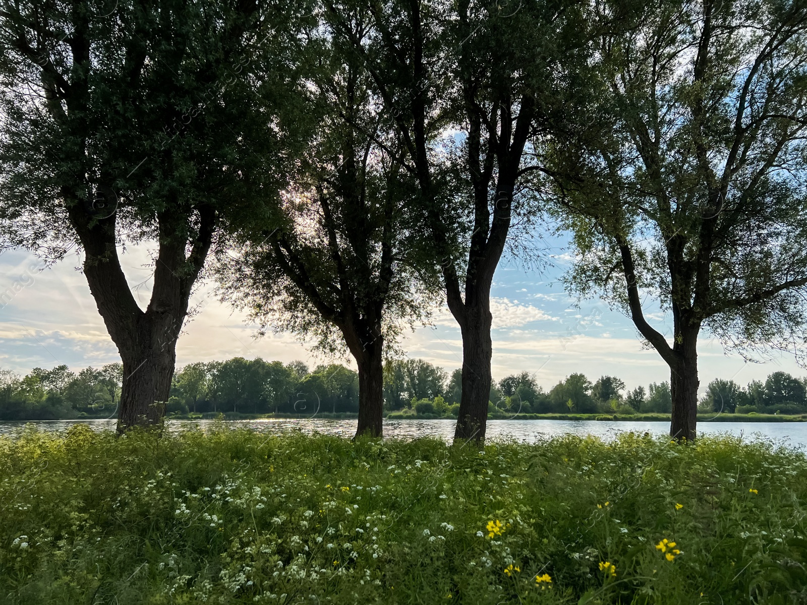 Photo of Beautiful view on green bank with trees near lake. Picturesque landscape