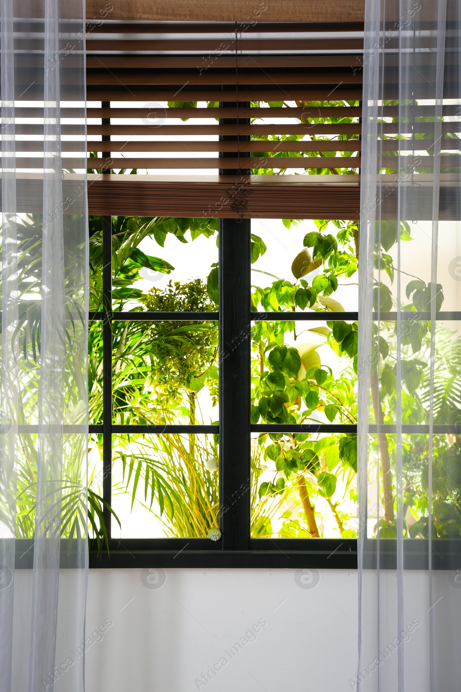 Photo of Beautiful view through window on garden in morning