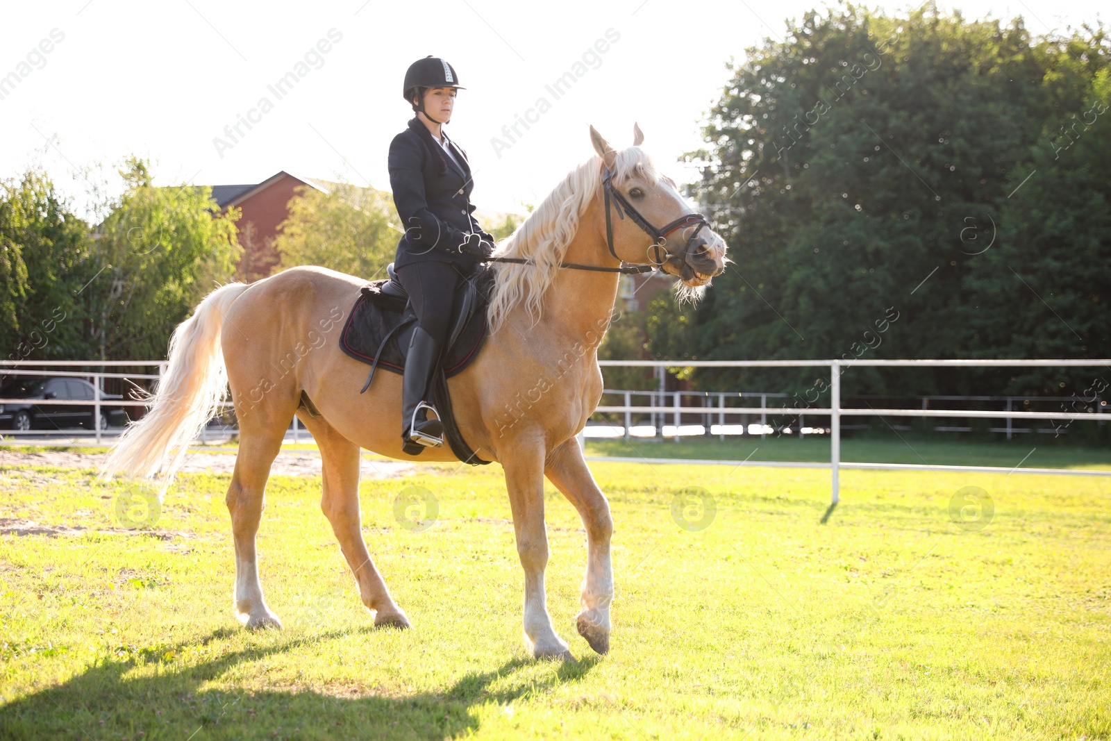 Photo of Young woman in equestrian suit riding horse outdoors on sunny day. Beautiful pet