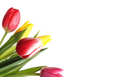 Photo of Beautiful bright spring tulips on white background