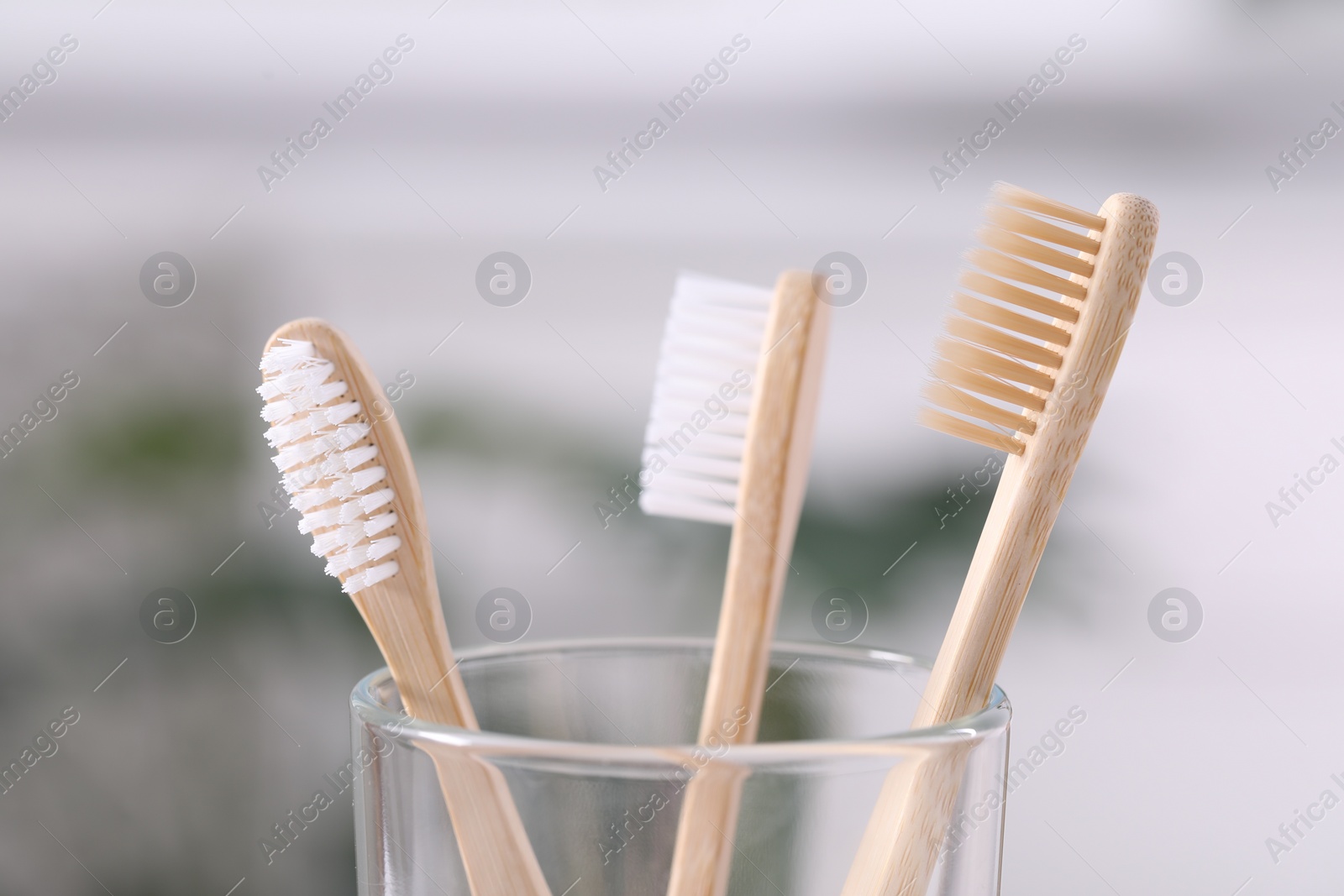 Photo of Bamboo toothbrushes in holder on blurred background, closeup