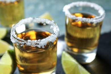 Photo of Mexican Tequila shots, lime slices and salt on table, closeup