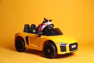 Photo of Funny cat with sunglasses in toy car on yellow background
