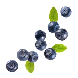 Image of Fresh ripe bilberries and green leaves falling on white background