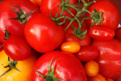 Tasty fresh tomatoes as background, closeup view