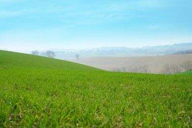 Photo of Beautiful hill covered with lush green grass on sunny day