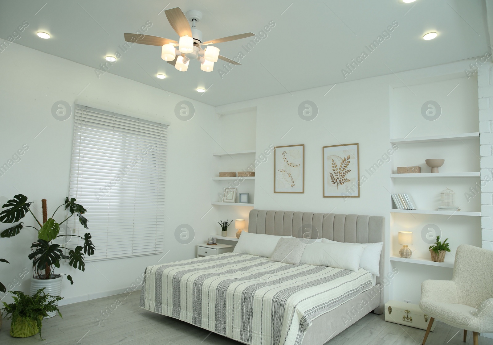 Photo of Comfortable furniture, ceiling fan, houseplants and accessories in stylish bedroom