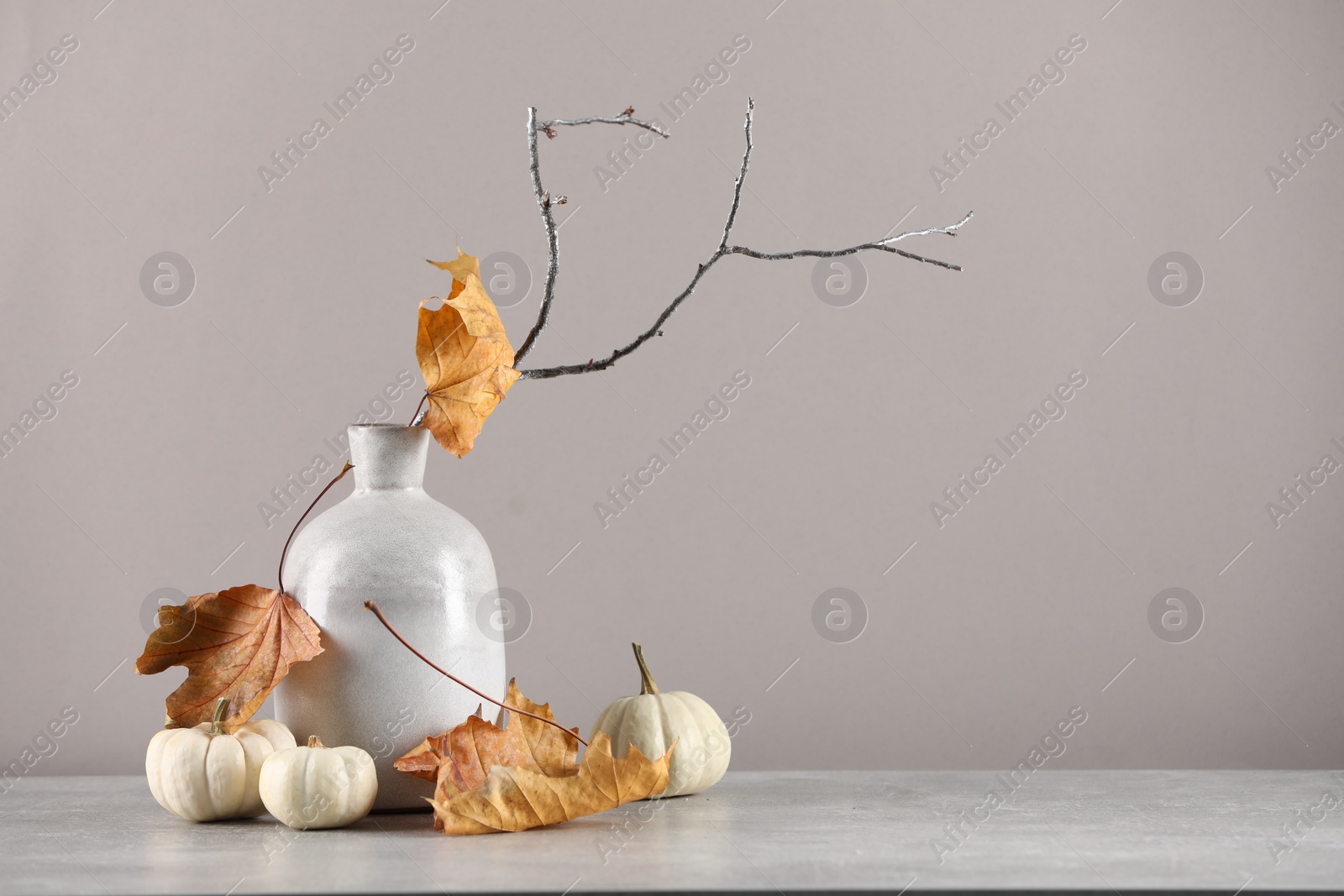 Photo of Composition with beautiful autumn leaves, tree branch and pumpkins on table against light gray background, space for text