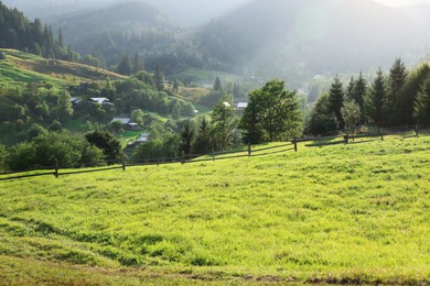 Photo of Beautiful landscape with green pasture on mountain hill in morning