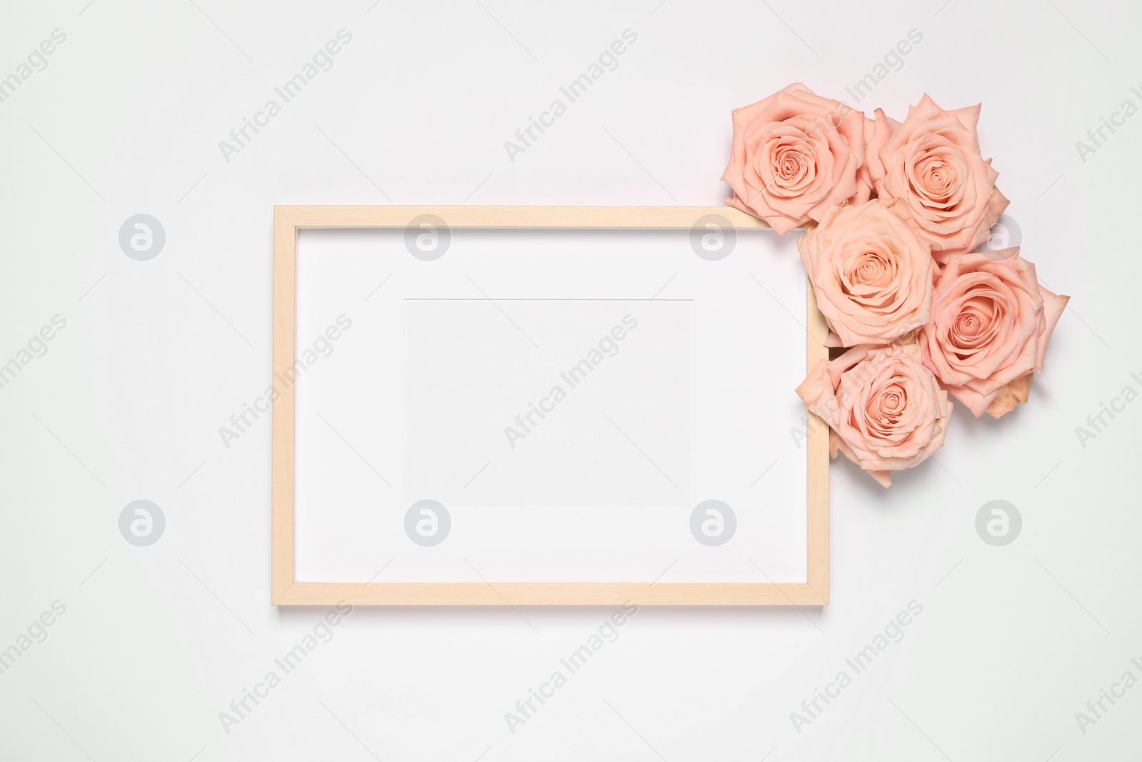 Photo of Empty photo frame and beautiful rose flowers on white background, flat lay. Mockup for design