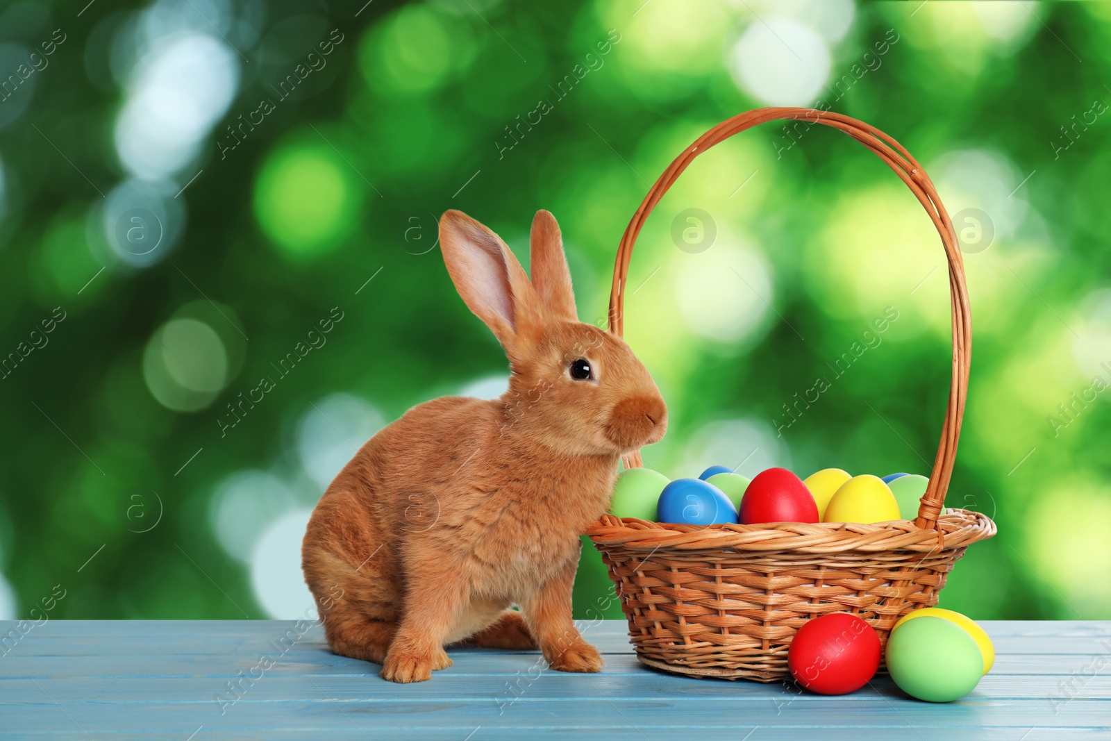 Image of Adorable bunny and wicker basket with Easter eggs on wooden surface outdoors